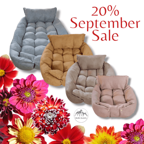 September Sale Hundekissen