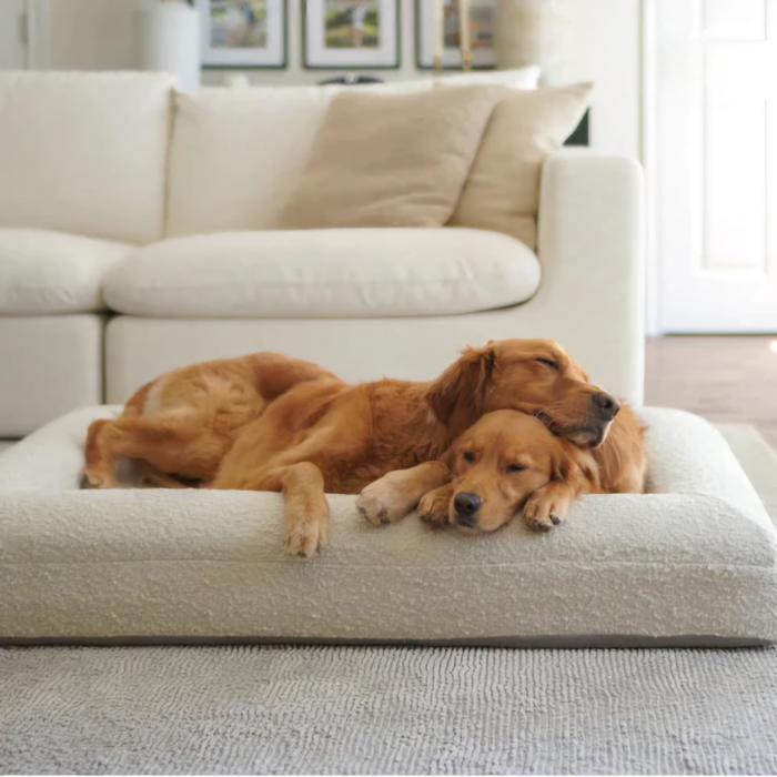 Hundebett FRED mit Viskoseschaummatratze und waschbarem Bouclé Bezug mit Inkontinenzbezug mit kuschelnden Golden Retriever