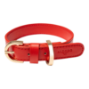 Hundehalsband APFEL-GOLD mit Premium veganem Apfelleder von Alecoo in rot