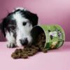 Basic Bundle von Tierliebhaber - Thumbnail Image 11