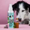 Basic Bundle von Tierliebhaber - Thumbnail Image 4