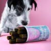 Dog examining Tierliebhaber Haut & Fell and Zahnpflege Sticks bundle for healthy skin and shiny coat.