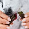 Dog enjoying Haut & Fell Drops for healthy skin and shiny coat.