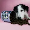 Z-Snack - Gesunder natürlicher Schutz von Tierliebhaber - Thumbnail Image 6