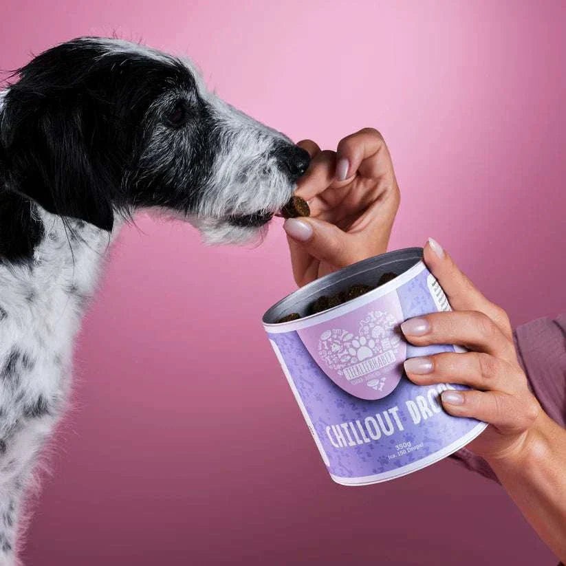 Natural Chillout Drops for calming dogs by Tierliebhaber.