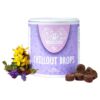 Natural Chillout Drops for Gentle Dog Relaxation and Stress Relief