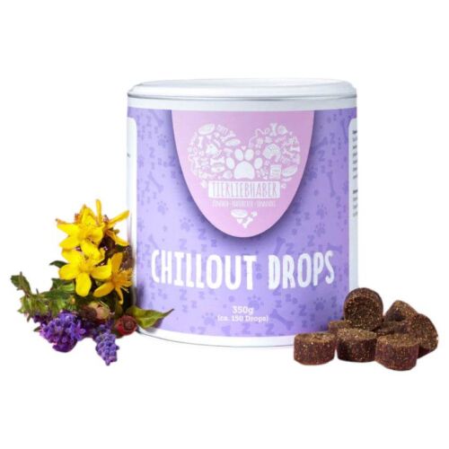 Natural Chillout Drops for Gentle Dog Relaxation and Stress Relief