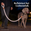 Reflektionsleine© mit Handschlaufe und veganem Leder in 4 Farben und Varianten - Thumbnail Image 14