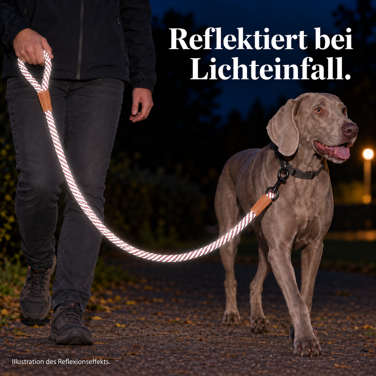 Reflektionsleine© mit Handschlaufe und veganem Leder in 4 Farben und Varianten – Bild 14