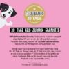 Chillout DROPS zur sanften Beruhigung und Entspannung von Tierliebhaber - Thumbnail Image 9