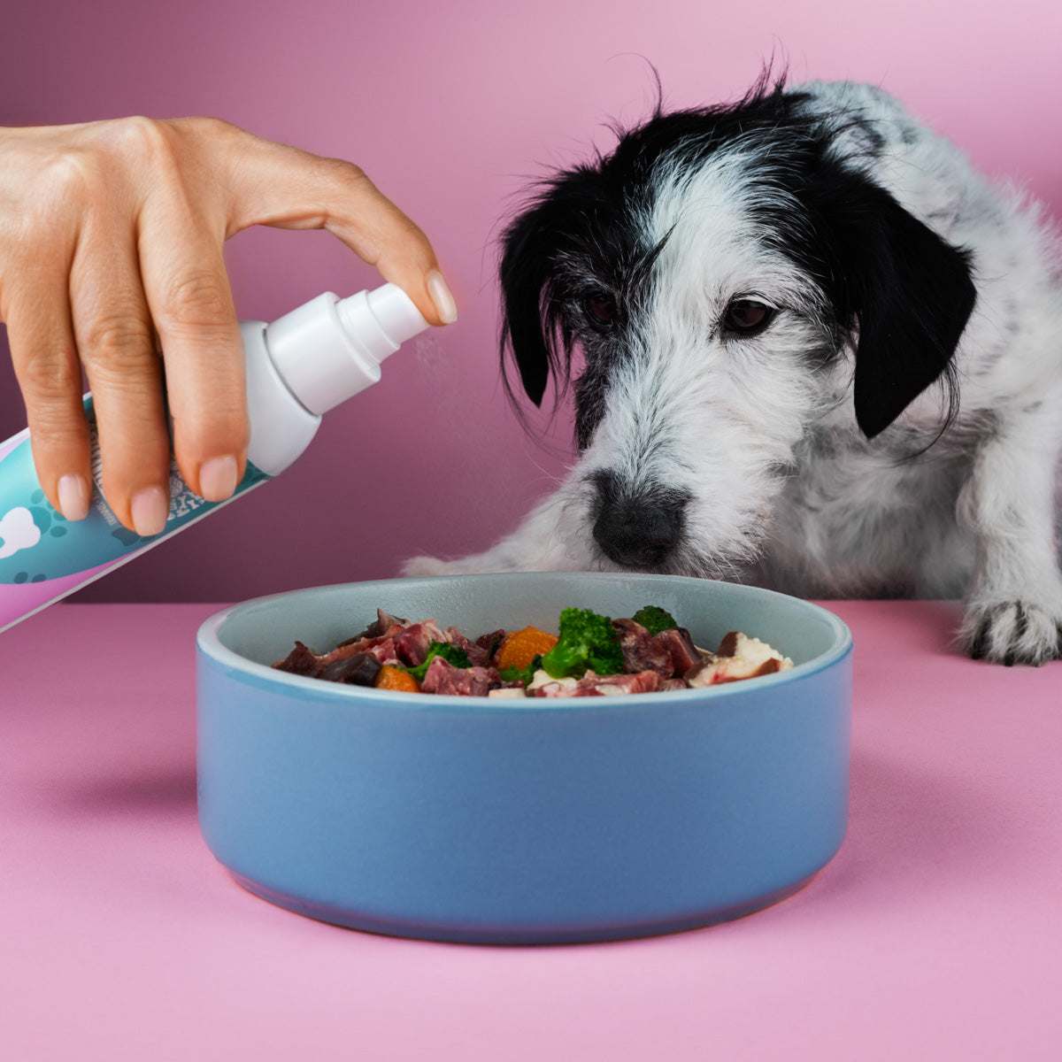 Dog eating with a bowl of food, featuring Frühlings Bundle for digestive support.