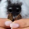 Dog sniffing natural Chillout Drops for calming and relaxation.