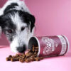 Dog enjoying Tierliebhaber Chillout Drops for calming and relaxation, with natural ingredients like valerian, St. John's wort, and lavender, in a pink background setting.
