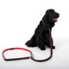 Adjustable black and red leather dog leash, high-quality and handcrafted.