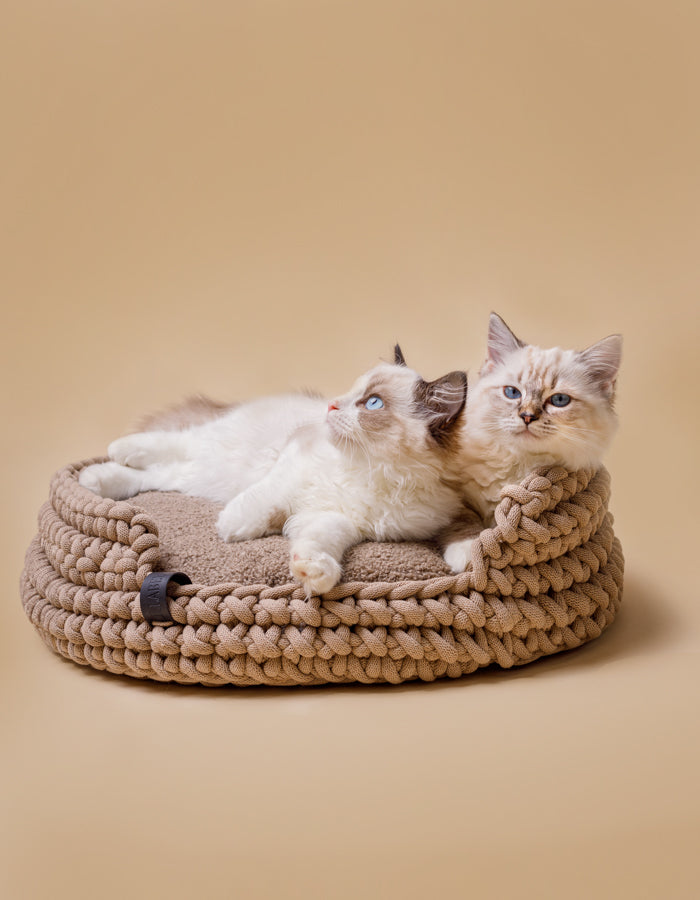 Korb aus nachhaltig recycelter Baumwollkordel inkl Kissen beige Katze schlafen – Bild 5