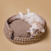 Korb aus nachhaltig recycelter Baumwollkordel inkl Kissen beige Katze schlafen - Thumbnail Image 2