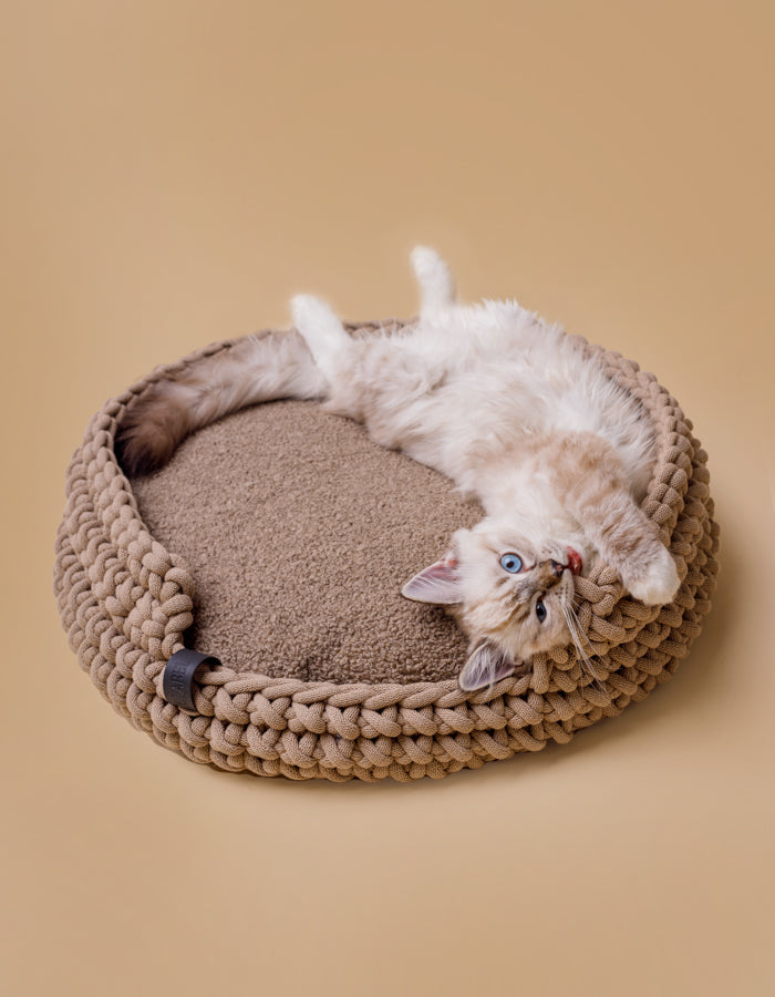 Korb aus nachhaltig recycelter Baumwollkordel inkl Kissen beige Katze schlafen – Bild 2