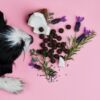 Dog sniffing natural herbal dog treats on pink background, part of Frühlings Bundle.